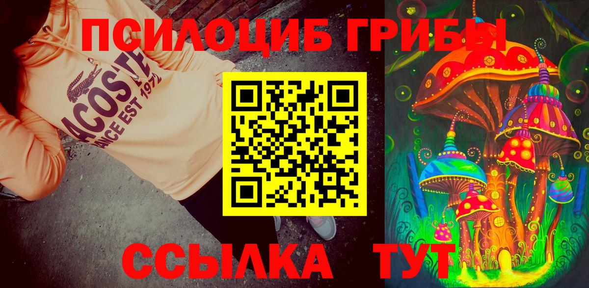 Галлюциногенные грибы Cubensis  Вход с VPN  Ярославль  Псилоцибиновые грибы мицелий 