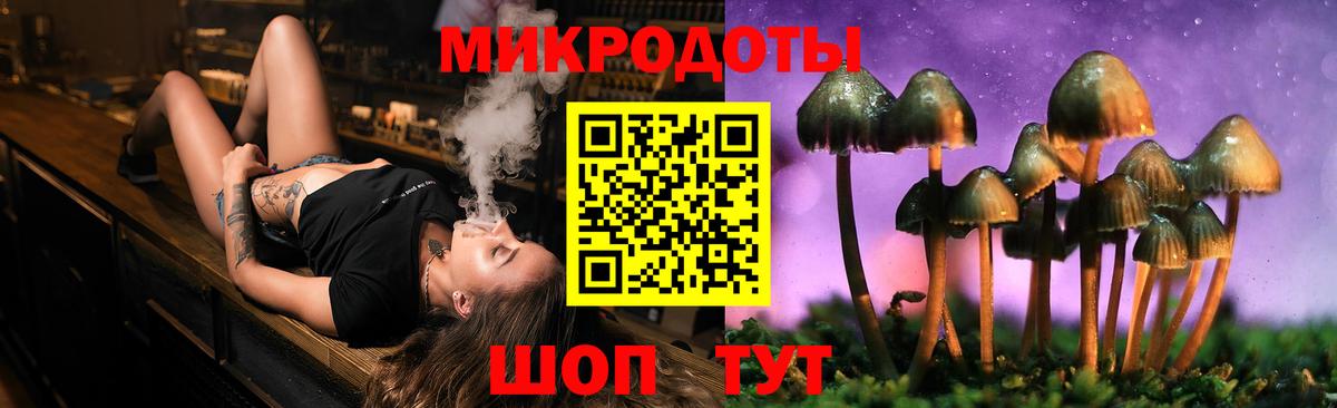 Псилоцибиновые грибы Cubensis Ярославль